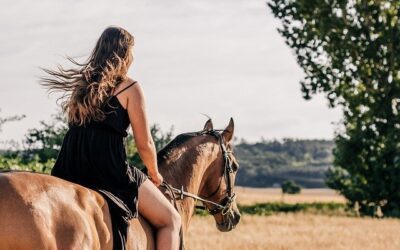 Ζώδια, Μύθοι και Αστρολογία: ΤΟΞΟΤΗΣ